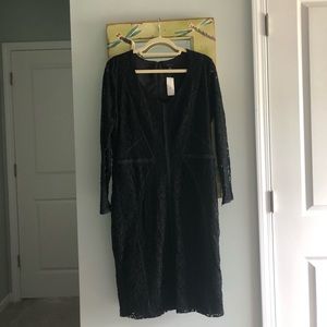 Ann Taylor Lace Dress